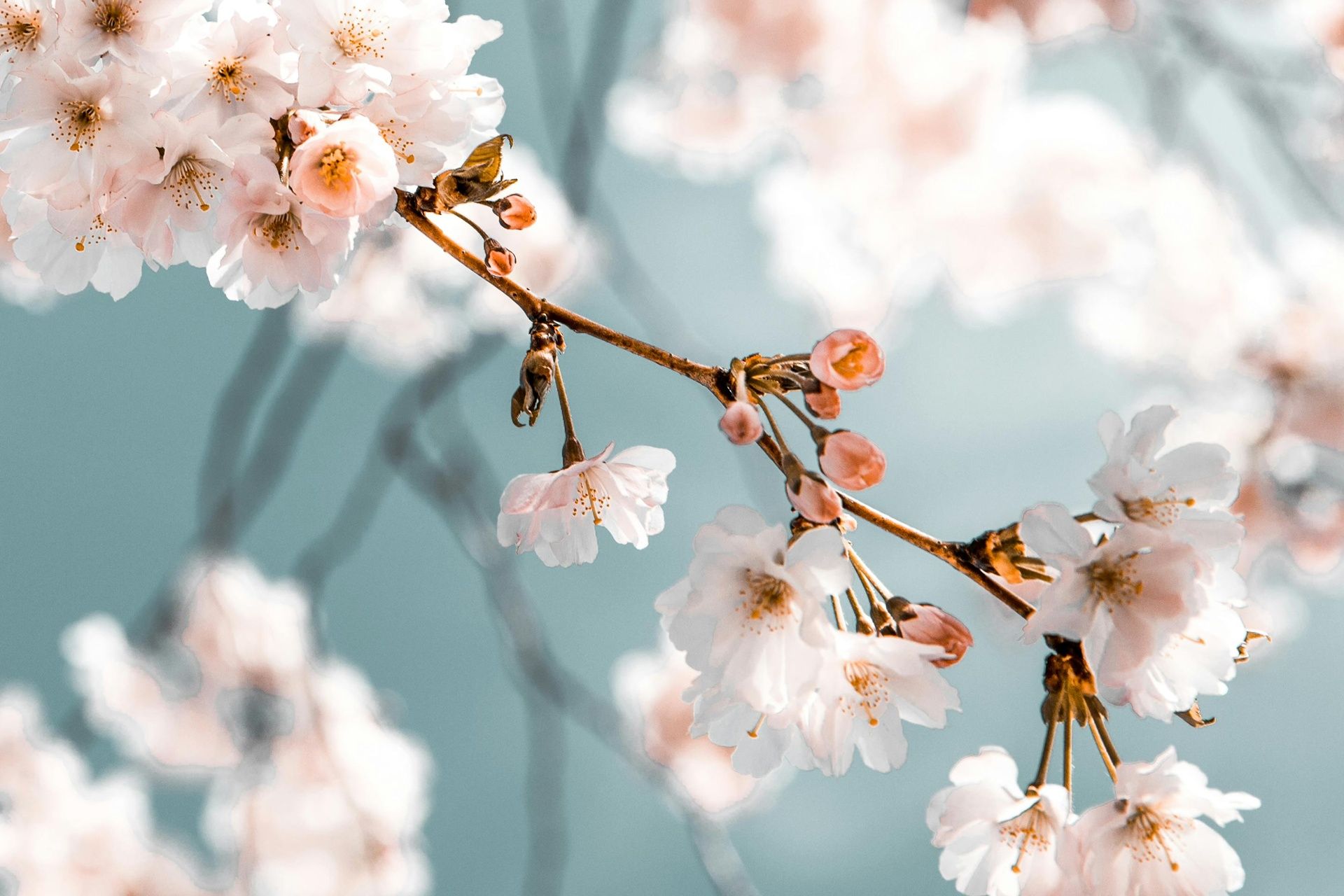 Tavasz a kastélyban