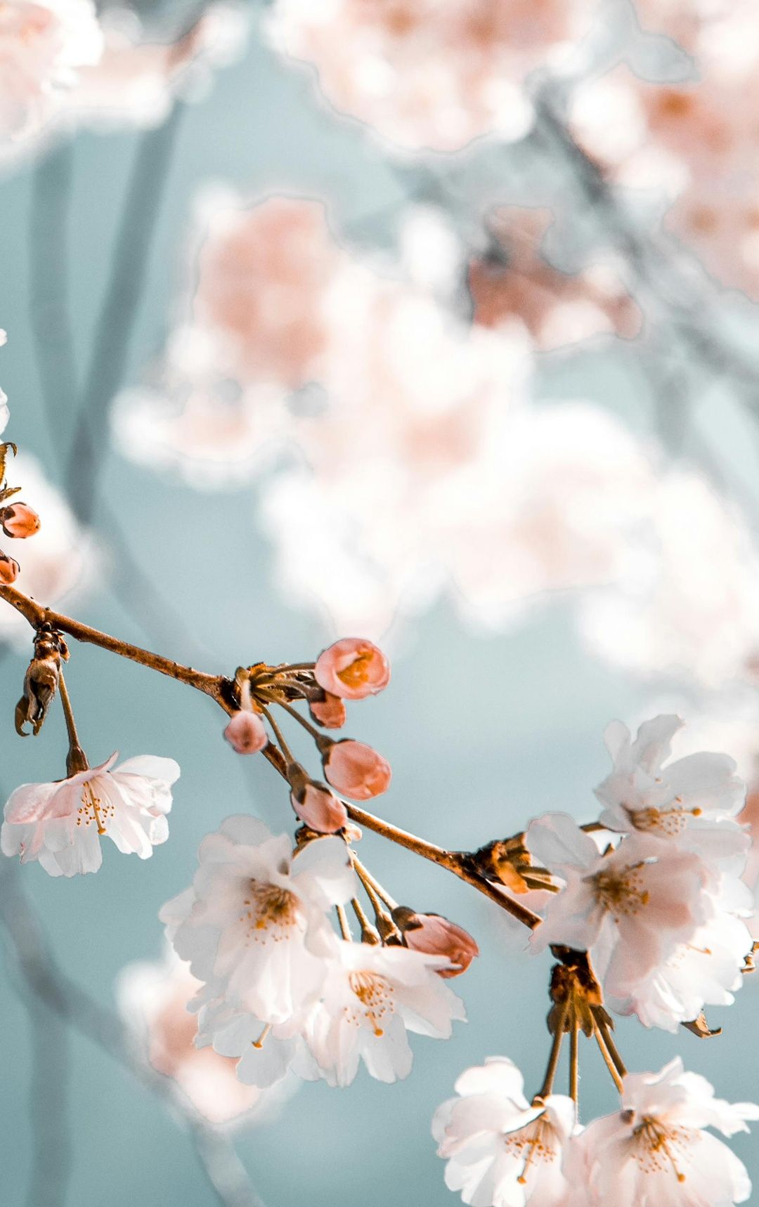 Tavasz a kastélyban